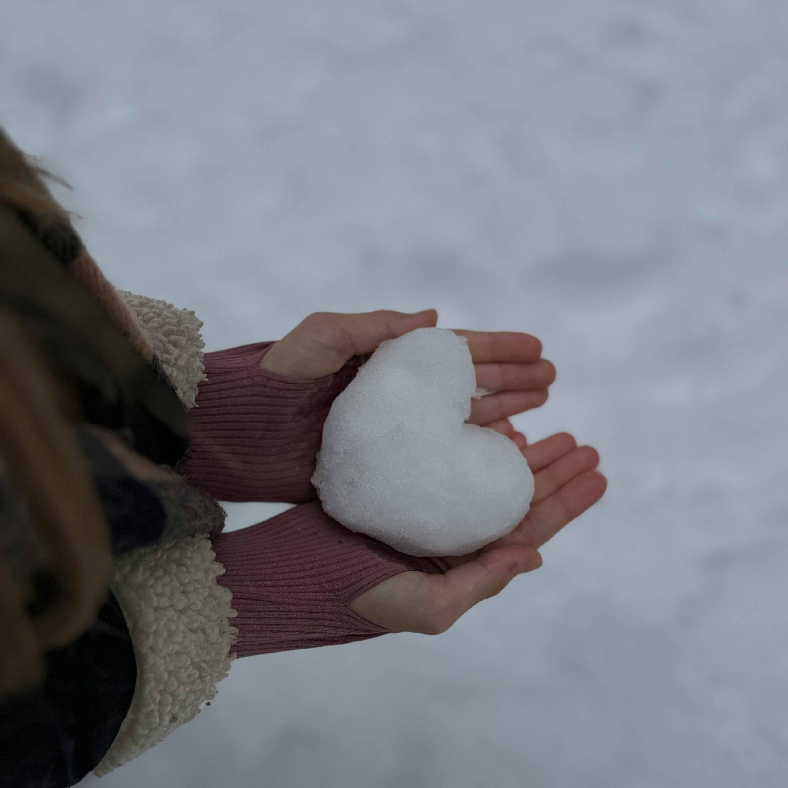 FEAV COMMUNITY Main ouverte avec un cœur, symbolisant le don et le soutien financier à la mission de FEAV.